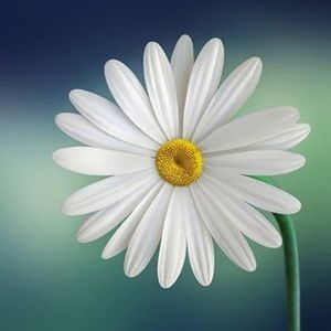 Meet your Posher, Kathleen